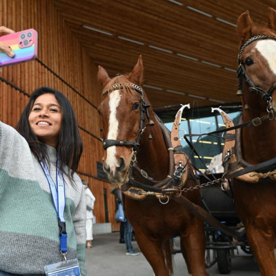 Erleben Sie eine entspannte Kutschenfahrt durch Davos!